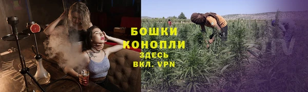 ПСИЛОЦИБИНОВЫЕ ГРИБЫ Верея