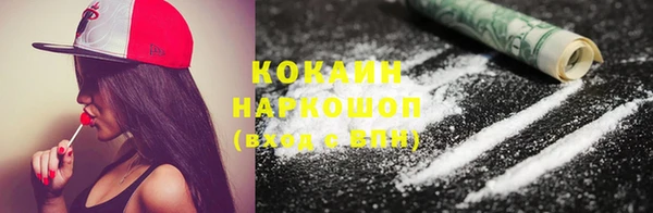 СК Туринск