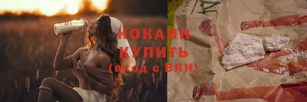 ПСИЛОЦИБИНОВЫЕ ГРИБЫ Верея